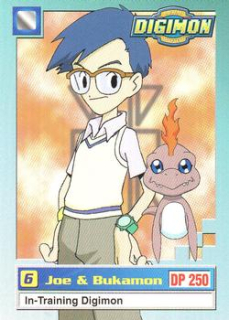 Joe & Bukamon / series 1 / DIGIMON upper deck